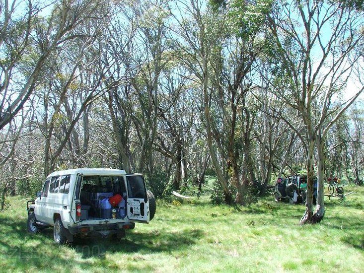 03-Rhino & Zebra take a morning tea break on Buckety Plain.jpg